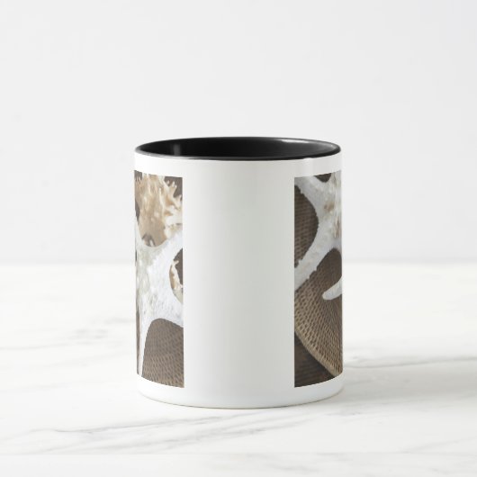 Starfish in einem Korb Tasse (Zentrum)