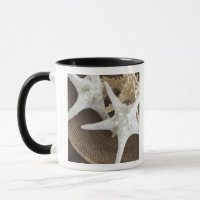 Starfish in einem Korb