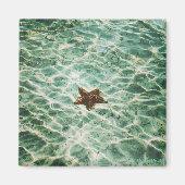 Starfish Island Magnet (Vorne)