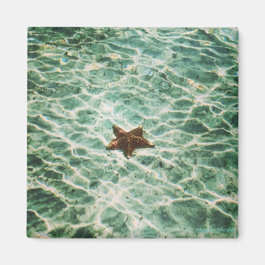Starfish Island Magnet (Vorne)