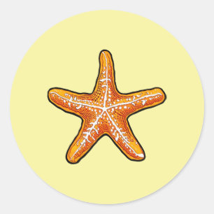 Starfish Klassischer Rundsticker Runder Aufkleber