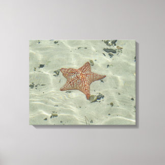 Starfish Leinwanddruck
