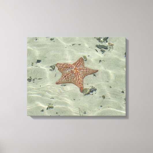 Starfish Leinwanddruck (Vorderseite)