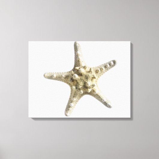 Starfish Leinwanddruck (Vorderseite)