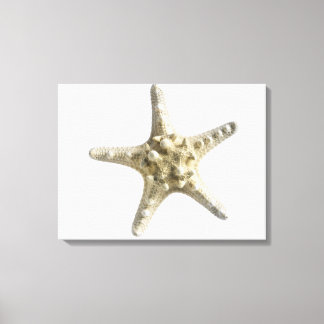 Starfish Leinwanddruck