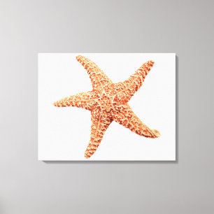 Starfish Leinwanddruck