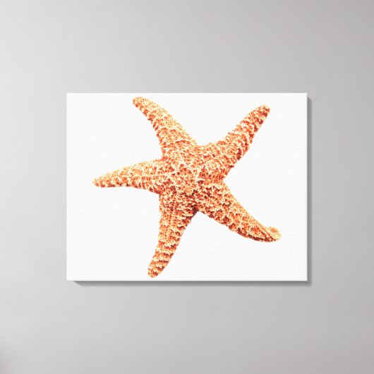Starfish Leinwanddruck (Vorderseite)