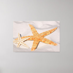 Starfish Leinwanddruck