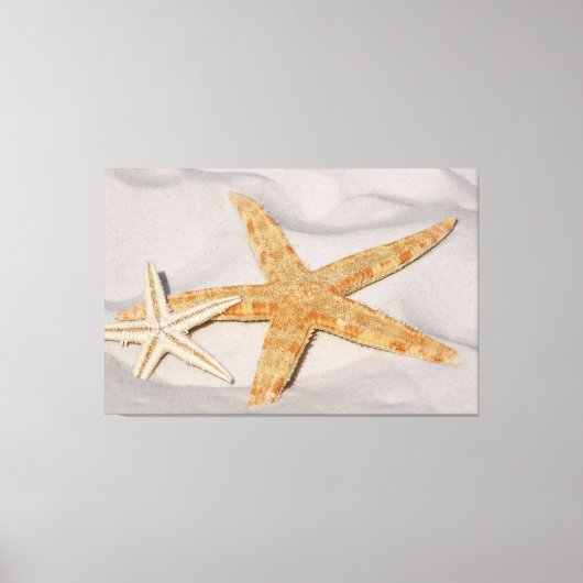 Starfish Leinwanddruck (Vorderseite)