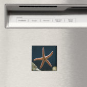 Starfish Liebe Magnet (In Situ (Geschirrspüler))