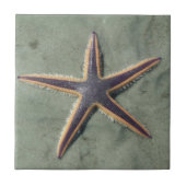 Starfish Lila Seestern am Strand Fliese (Vorderseite)