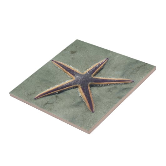 Starfish Lila Seestern am Strand Fliese (Seite)