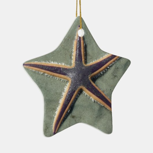 Starfish Lila Seestern am Strand Keramikornament (Rechts)