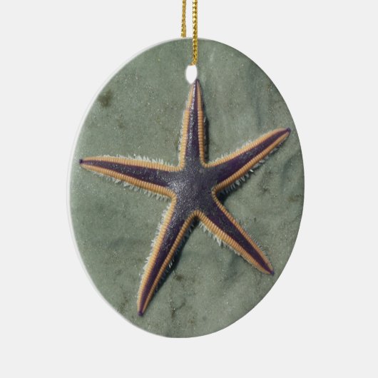 Starfish Lila Seestern am Strand Keramikornament (Rechts)