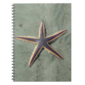 Starfish Lila Seestern am Strand Notizblock (Vorderseite)