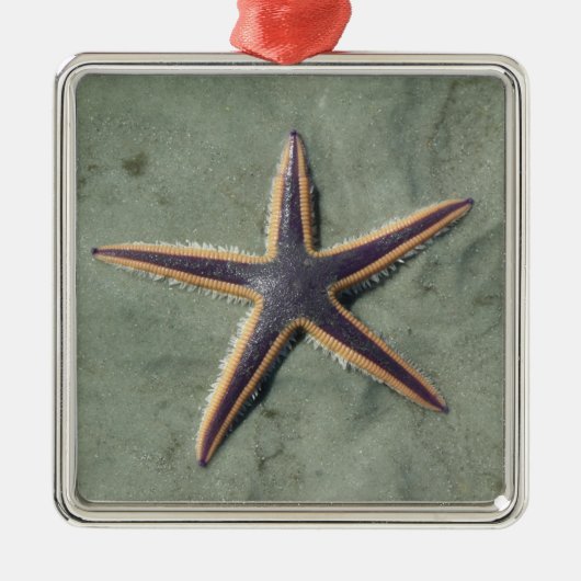 Starfish Lila Seestern am Strand Ornament Aus Metall (Vorne)