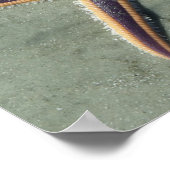 Starfish Lila Seestern am Strand Poster (Ecke)