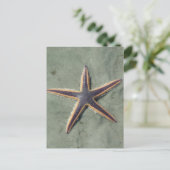 Starfish Lila Seestern am Strand Postkarte (Stehend Vorderseite)