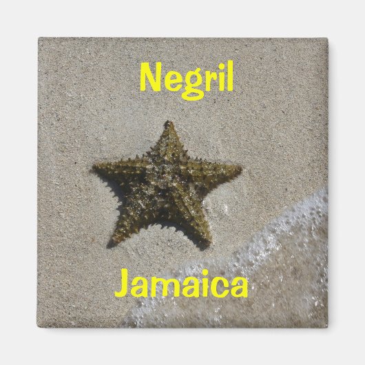 Starfish Magnet (Vorne)