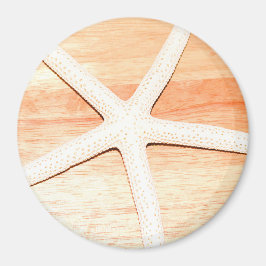 Starfish Magnet