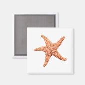 Starfish Magnet (Vorderseite/Rückseite)