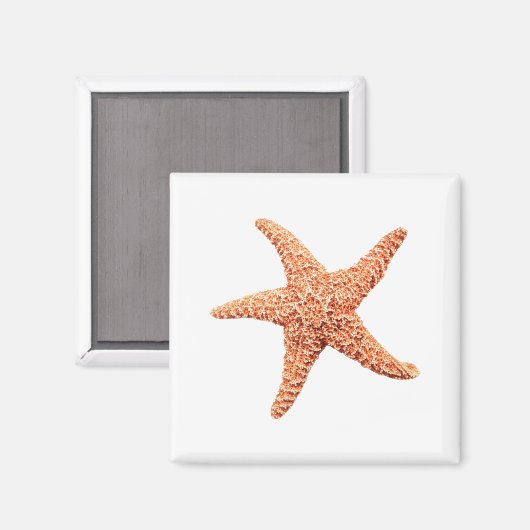 Starfish Magnet (Vorderseite/Rückseite)
