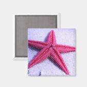 Starfish Magnet (Vorderseite/Rückseite)