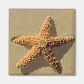 Starfish Magnet (Vorne)