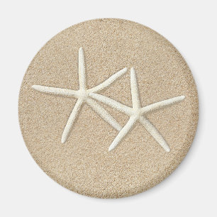 Starfish Magnet