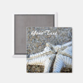 Starfish Magnet (Vorderseite/Rückseite)