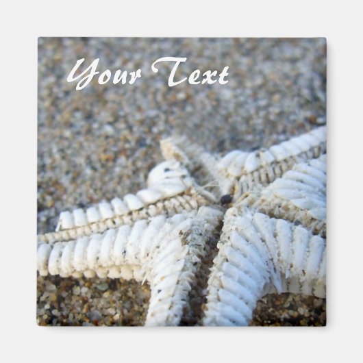 Starfish Magnet (Vorne)