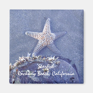 Starfish-Magnet Magnet