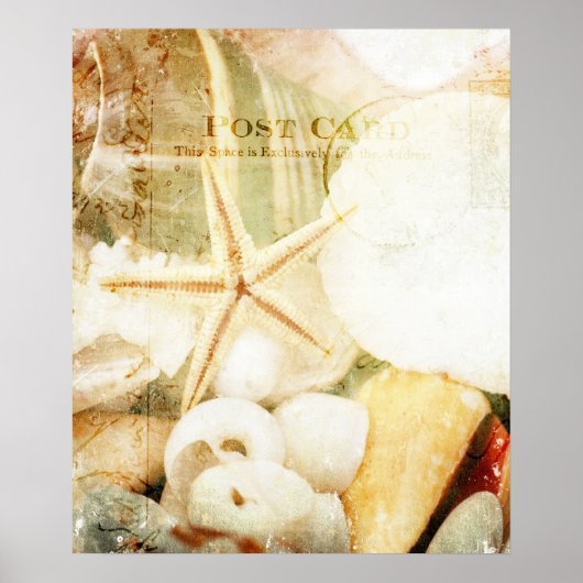 Starfish markiert poster (Vorne)