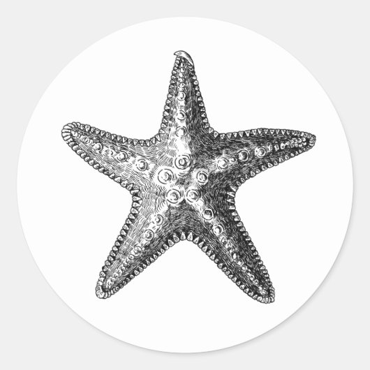 "STARFISH" MEERESWELT UMSCHLAG AUFKLEBER STICKER (Vorderseite)