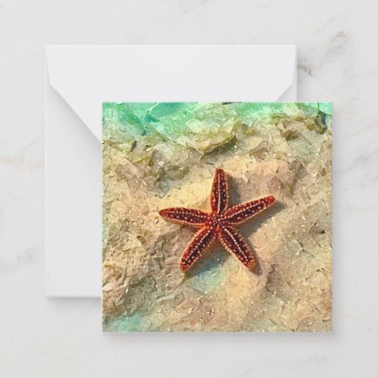 Starfish Mini notecard Set Mitteilungskarte (Vorderseite)