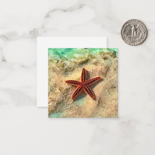 Starfish Mini notecard Set Mitteilungskarte (Vorderseite/Rückseite Beispiel)