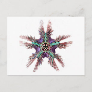 Starfish mit Featherwaffen Postkarte