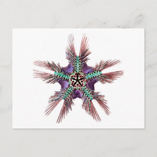 Starfish mit Featherwaffen Postkarte (Vorderseite)