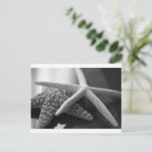 Starfish Mono Postkarte (Stehend Vorderseite)