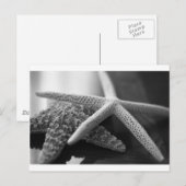 Starfish Mono Postkarte (Vorne/Hinten)