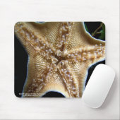 Starfish Mousepad (Mit Mouse)