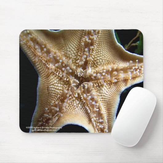 Starfish Mousepad (Mit Mouse)