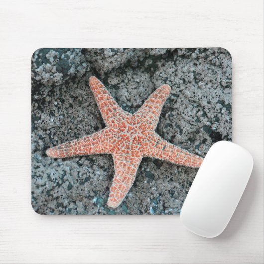 Starfish Mousepad (Mit Mouse)