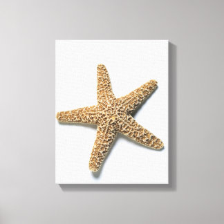 Starfish-Muschel auf weißem Hintergrund Leinwanddruck
