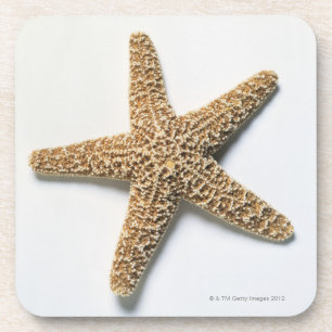 Starfish-Muschel auf weißem Hintergrund Untersetzer