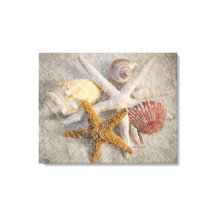 Starfish/Muschel/Sandstrand Stillleben