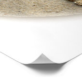 Starfish Muscheln Plumeria auf Sand Poster (Ecke)