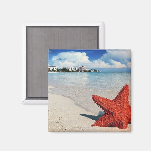 Starfish, Nassau, Bahamas Magnet (Vorderseite/Rückseite)