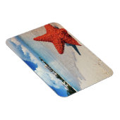 Starfish, Nassau, Bahamas Magnet (Rechte Seite)
