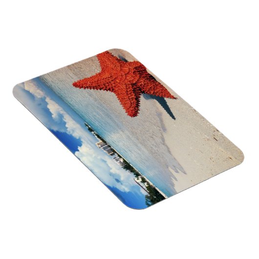 Starfish, Nassau, Bahamas Magnet (Rechte Seite)